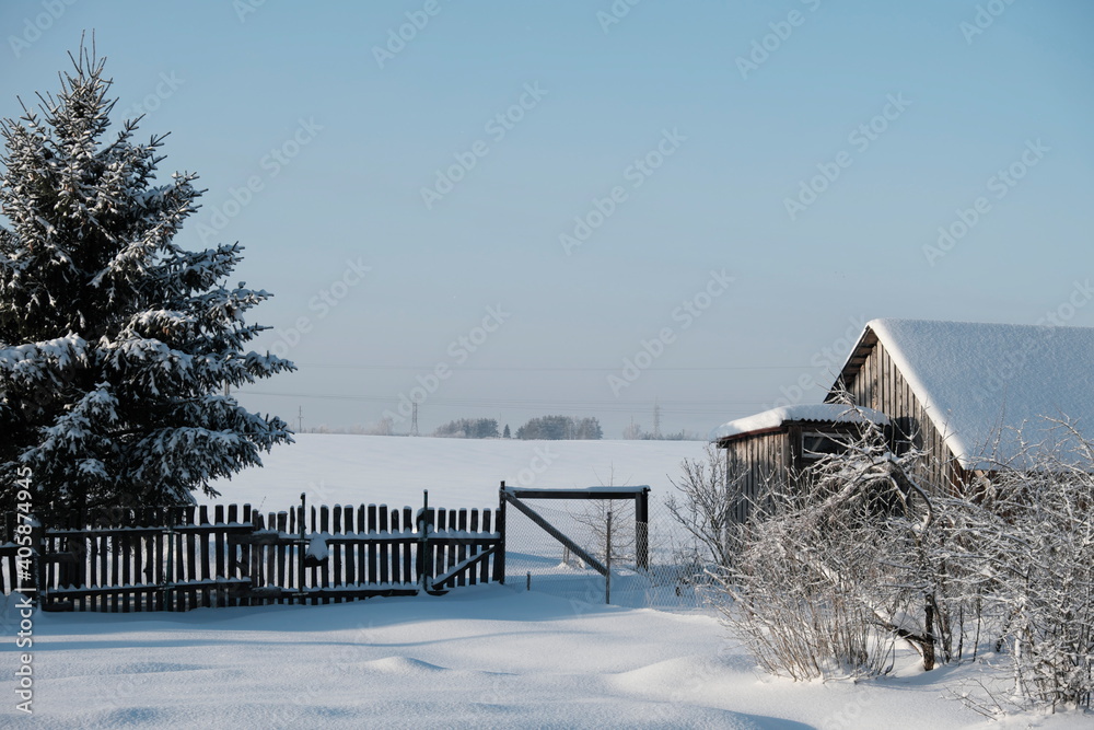 Beautiful nature of the North, natural landscape with large trees in frosty winter Beautiful nature of the North, natural landscape with large trees in frosty winter