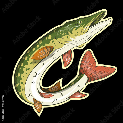 Pike Image. Northern pike. Fish monster. Sketch for mascot, logo or symbol. Pike fishing. Sport fishing club. Vector graphics to design