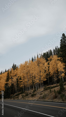 road in the mountains