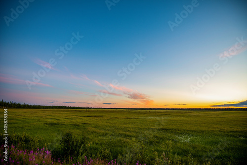 sunset in the field © марина кадырова