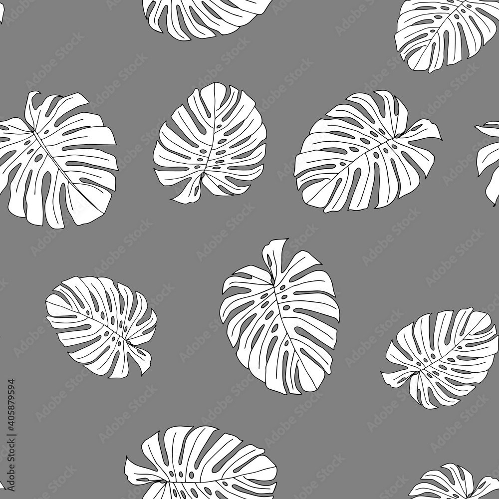 Illustration of white leaves monstera isolated on a gray background. Seamless pattern Illustration of white leaves monstera isolated on a gray background. Seamless pattern