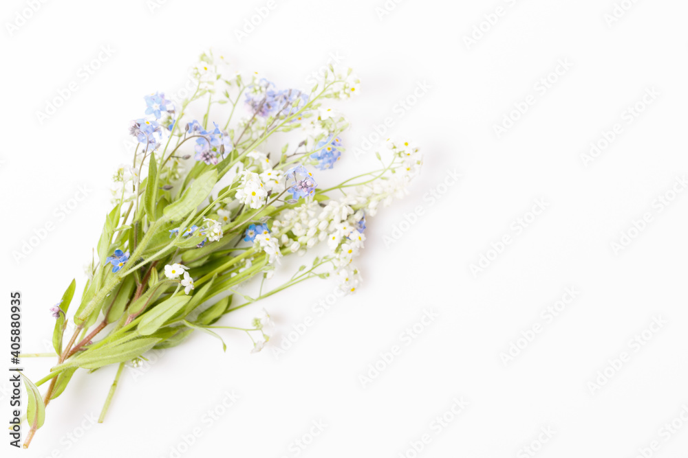 Beautiful bouquet blue and white flowers forget me not on white background