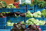 Fresh salad and vegetables on sale in local farmers market in Prague, Czech Republic