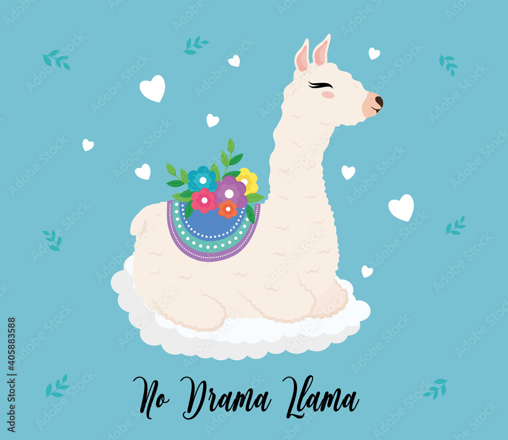 Fototapeta premium cute alpaca exotic animal with floral decoration and lettering vector illustration design