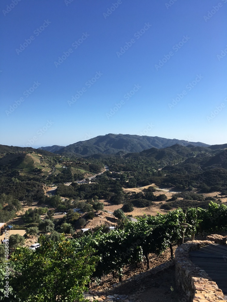 View of Malibu Vineyard