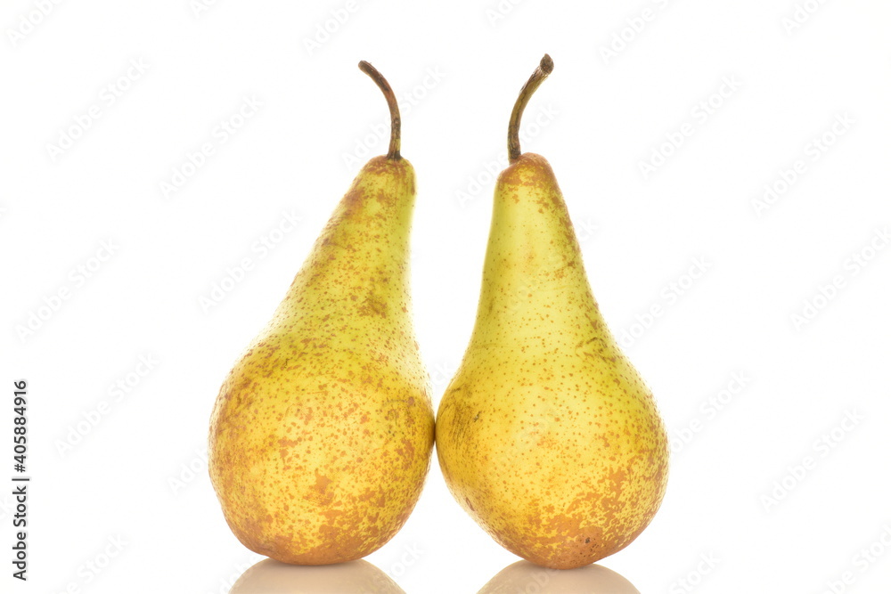 Two ripe green pears, close-up, isolated on white. Two ripe green pears, close-up, isolated on white.