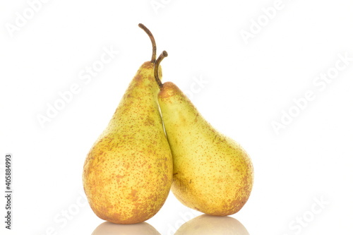 Two ripe green pears, close-up, isolated on white.