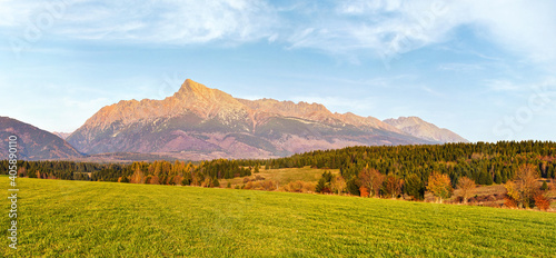 Panorama of green meadow with small forest and mount Krivan peak - Slovak symbol - in distance, blue sky above