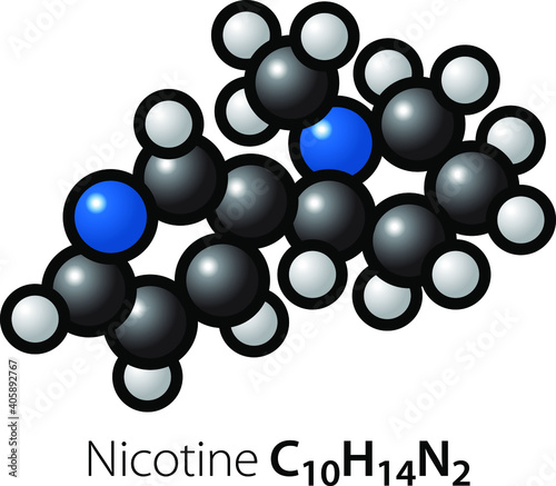 A molecule of nicotine.