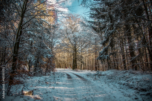 älzer Wald - Winter Wanderung - Weltachs bis Mölschbach



 photo