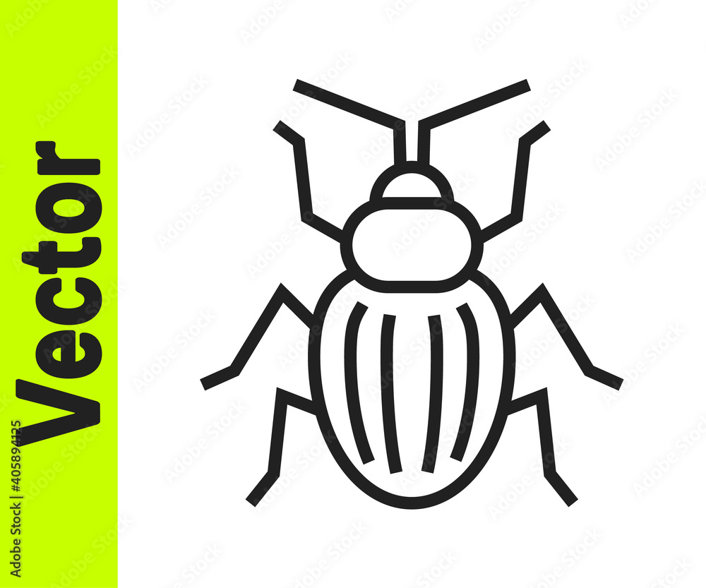 Black line Chafer beetle icon isolated on white background. Vector. Black line Chafer beetle icon isolated on white background. Vector.
