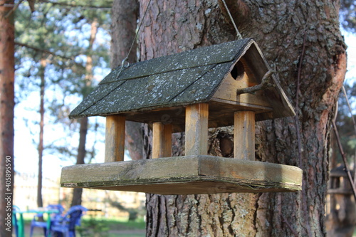 Wooden bird feeder hanging on a tree © Ольга Куликова