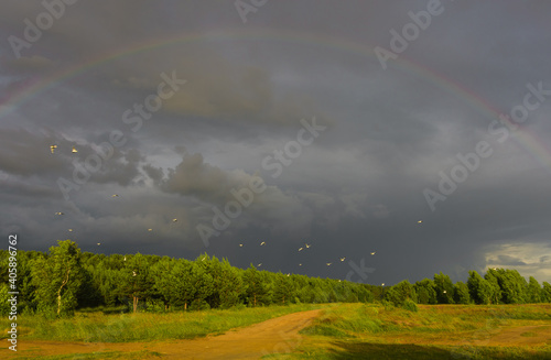 Fotografija flock of seagulls against the backdrop of formidable clouds and bright green for