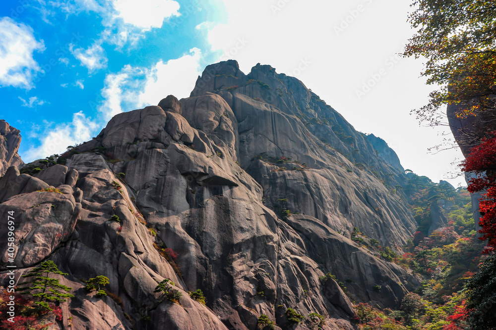 Obraz premium Scenic and panoramic view of Mount Huangshan cliffs and forest of Masson pine with various colours typical of the autumn season, Anhui, China Yellow mountain
