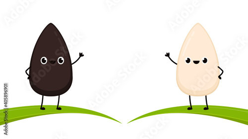 Black and white sesame seed character. Sesame seed on white background.