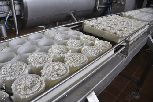 Cheese production line in a dairy factory