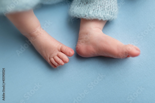 feet of a newborn baby. legs on a blue background. baby feet