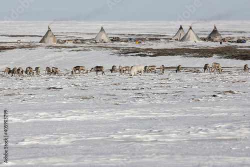 Ethnography. Houses of the Arctic tundra. Indigenous peoples of the North