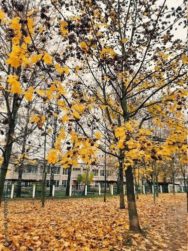 autumn in the city