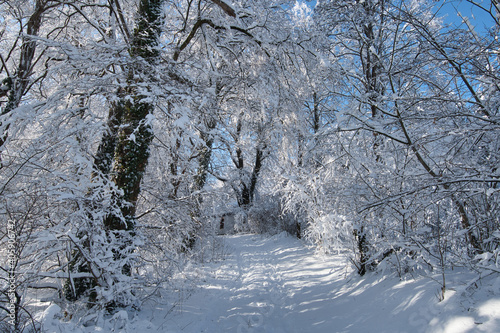 Sonniger Wintertag oberhalb von Ettenheim in der Ortenau