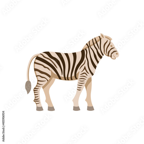 Cartoon zebra on a white background.Flat cartoon illustration for kids. © NADEZHDA