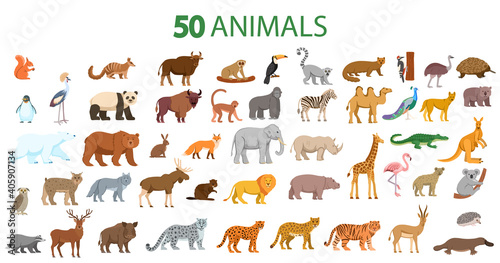 Set of forest animals bear, fox, wolf, elk, deer, hare, beaver, hedgehog, squirrel, wild boar.Flat cartoon illustration for kids.