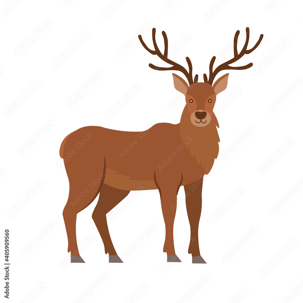 Cartoon deer on a white background. Flat cartoon illustration for kids. Cartoon deer on a white background. Flat cartoon illustration for kids.