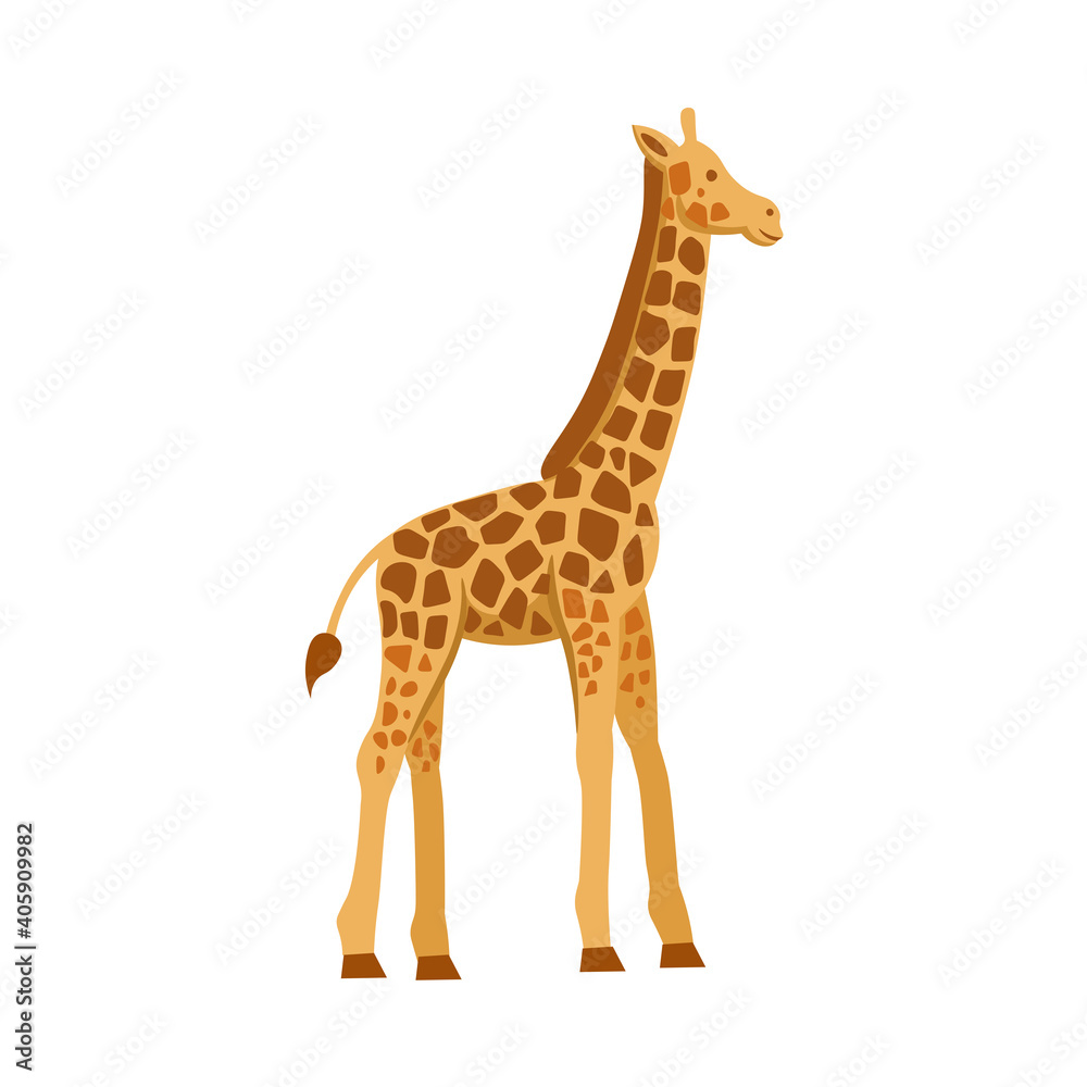 Cartoon giraffe on a white background.Flat cartoon illustration for kids. Cartoon giraffe on a white background.Flat cartoon illustration for kids.