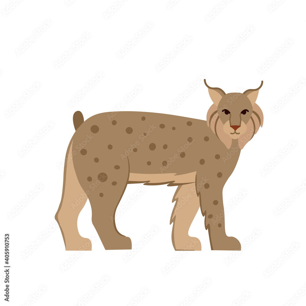 Cartoon lynx on a white background.Flat cartoon illustration for kids. Cartoon lynx on a white background.Flat cartoon illustration for kids.