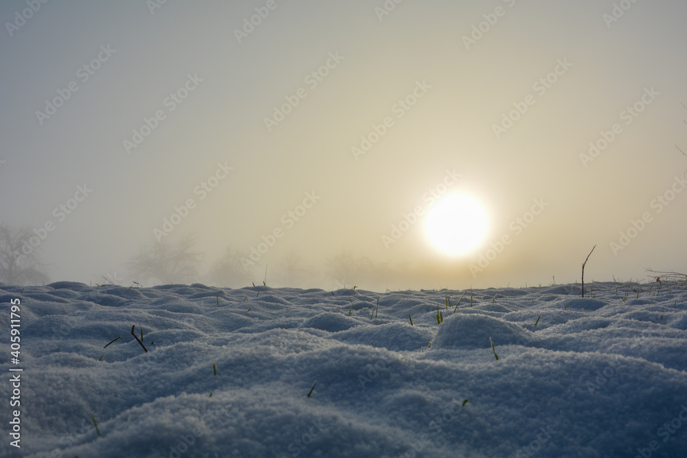 Snow covered meadow on a foggy morning with the sun