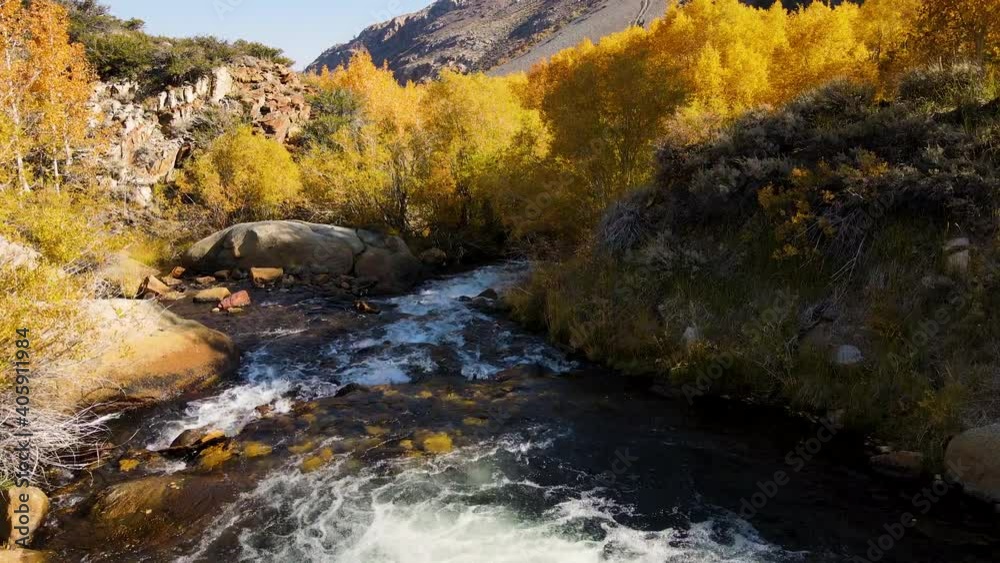Cinematic aerial shot of colorful fall foliage at Bishop Creek in Eastern Sierra in California at 60fps Cinematic aerial shot of colorful fall foliage at Bishop Creek in Eastern Sierra in California at 60fps