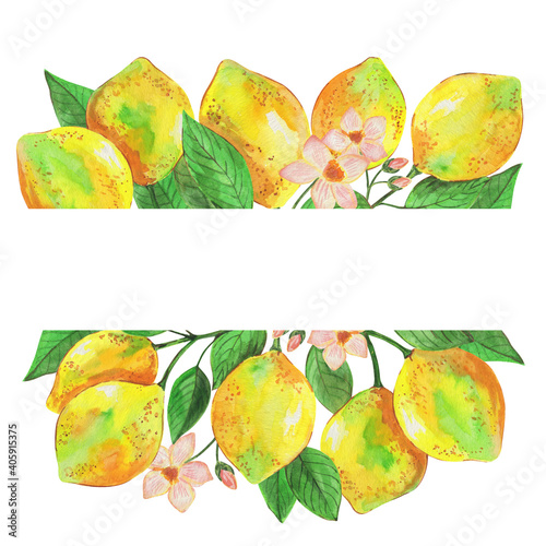 Watercolor illustration, lemon with branch, tropical fruit and flowers, background for different design