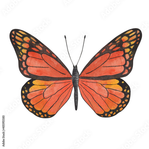 Watercolor illustration, butterflies, set of drawings, isolate on a white background