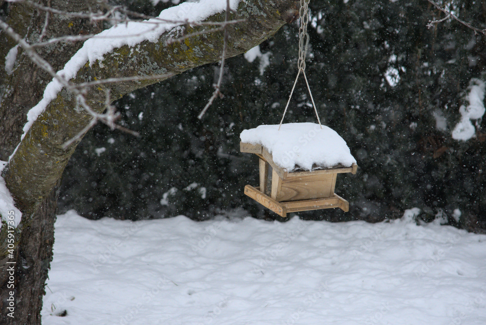 custom made wallpaper toronto digitalbirdhouse with no bird covered with snow in winter