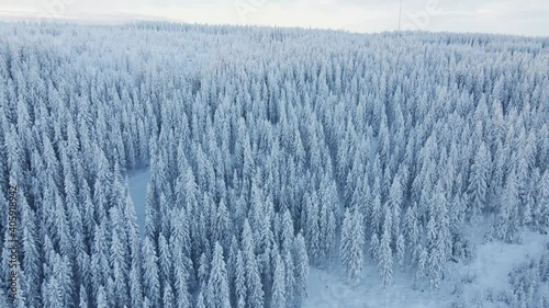 Aerial drone view of a snowy forest after heavy snowfall close to a swedish ski resort in Sweden
