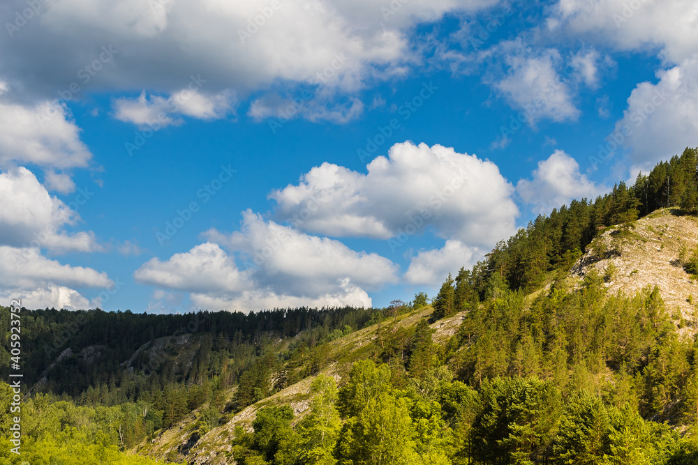 Scenery landscape with green forest and high rocky mountain under blue sky with white fluffy ?umulus clouds. sunny light