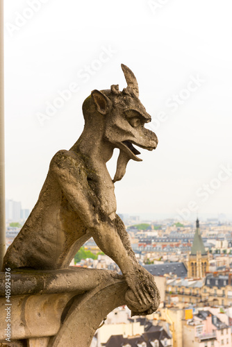 Gargoyle on Notre Dame de Paris Cathedral of Paris.