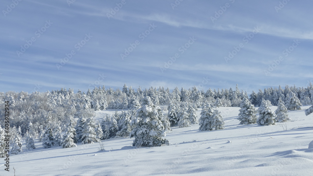 paesaggio innevato paesaggio innevato