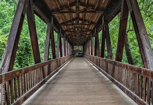 The Wooden Bridge