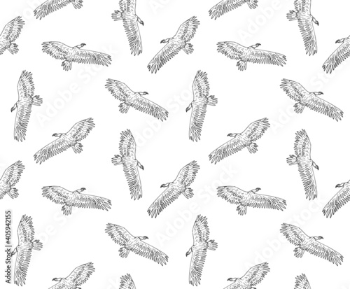 Vector seamless pattern of hand drawn doodle sketch flying griffon vulture bird isolated on white background