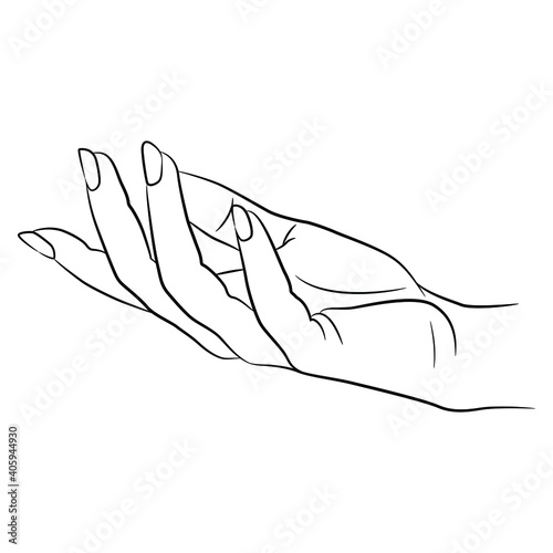 Beautiful female hand with long nails in elegant relaxed gesture. Black and white linear silhouette.