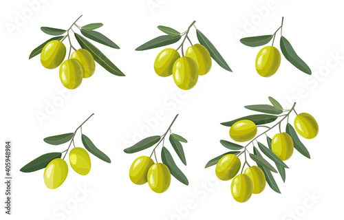 Set of olive branches with green olives and leaves isolated on white background. Hand drawn vector illustration
