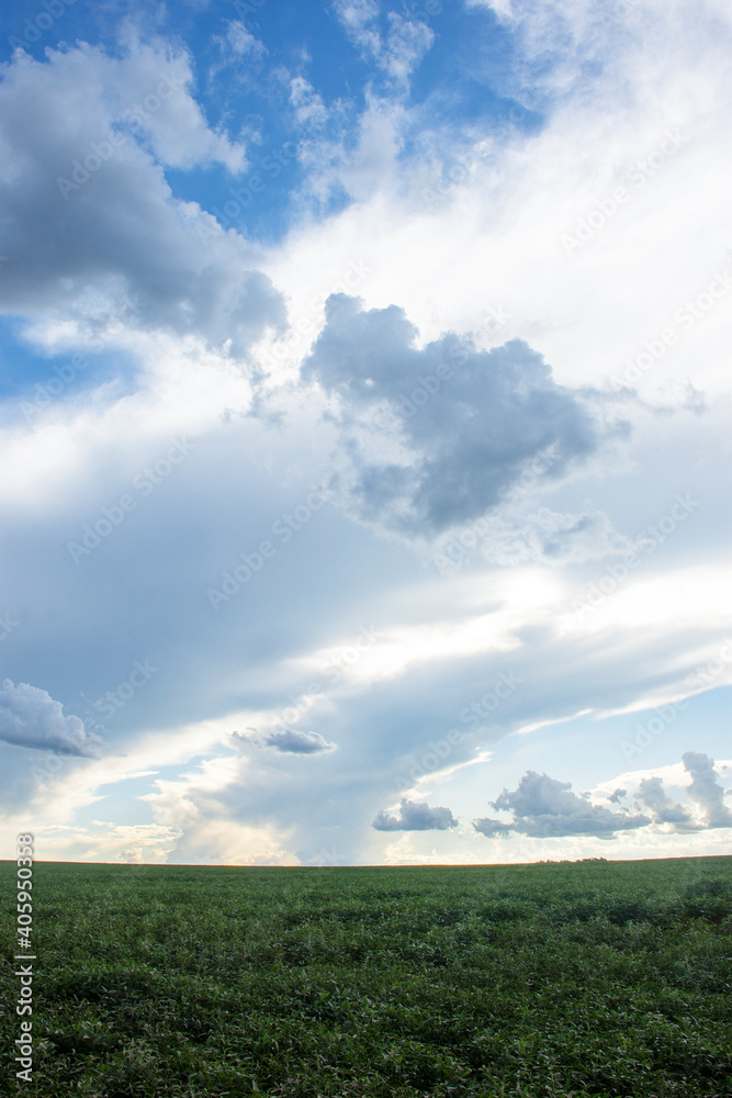 soy plantation in the state of Mato Grosso do Sul, Brazil