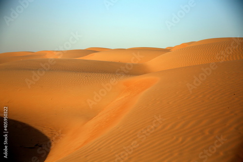 Fototapeta Naklejka Na Ścianę i Meble -  Dunes in the desert at sunset, Wahiba Sands / Sharqiya Sands, Oman