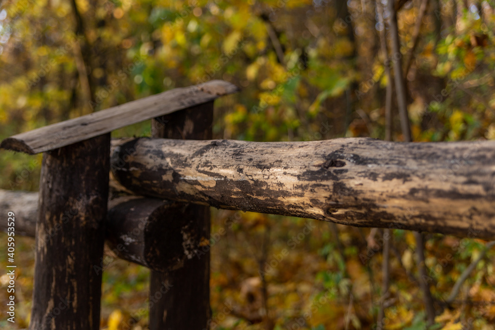 wooden fence in the autumn forest wooden fence in the autumn forest