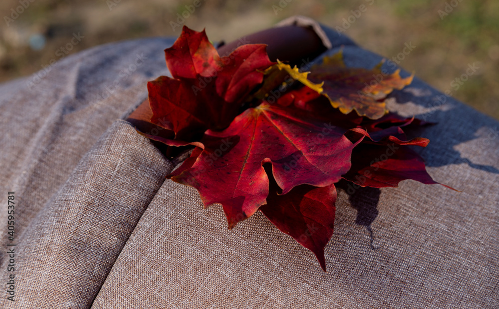 red leaves in a bouquet on a textile background