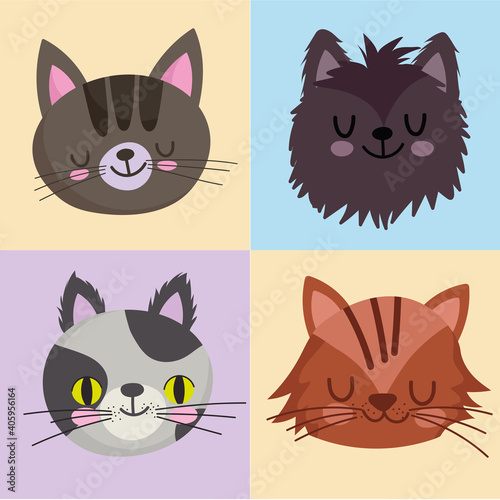 pets icons set cats feline mascot animal, faces on color design