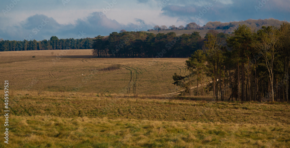 scenic view over tree lines towards Sidbury Hill, Salisbury Plain 