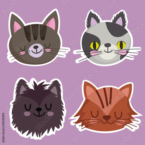pets icons set cats feline mascot animal, faces animals cartoon