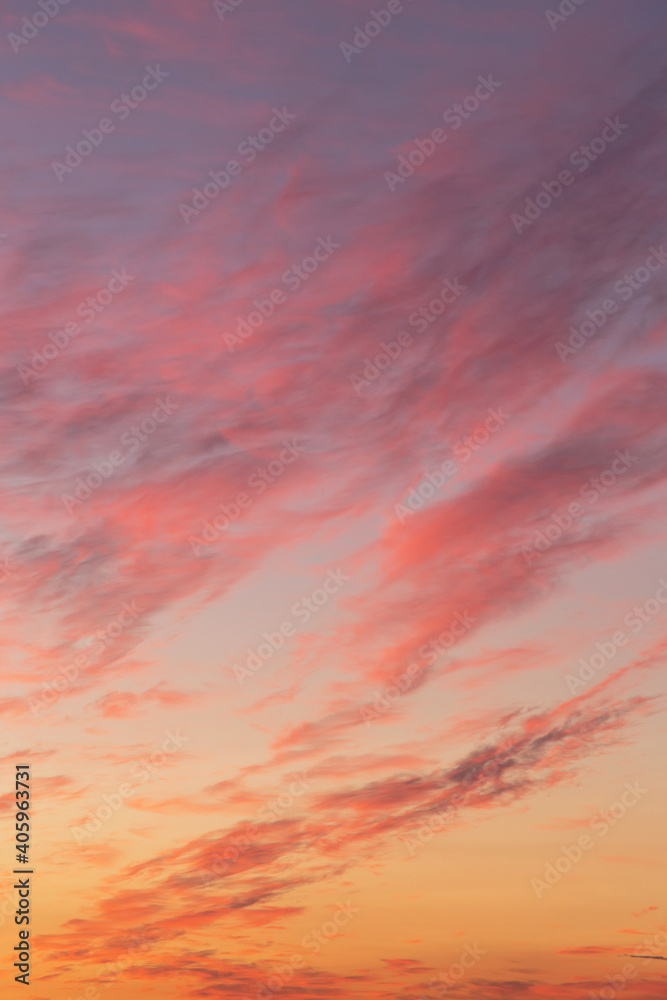 Dramatic soft sunrise, sunset, pink violet orange sky with bright clouds in sunlight background texture